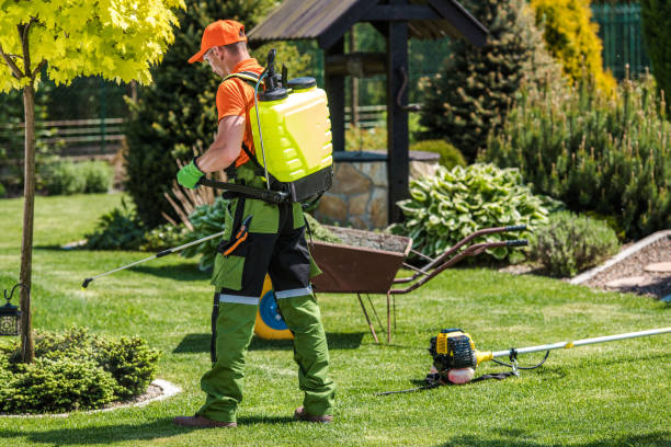 Professional Pest Control in Lake Morton Berrydale, WA